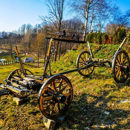 Pensiunea La Buruiana Curtea De Arges Luaran gambar