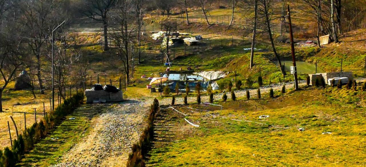 Pensiunea La Buruiana Curtea De Arges Luaran gambar